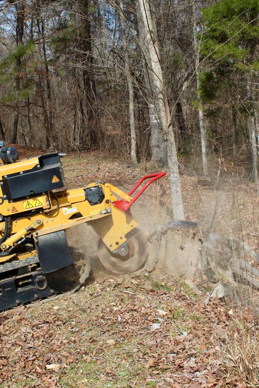 Stump grinding in action