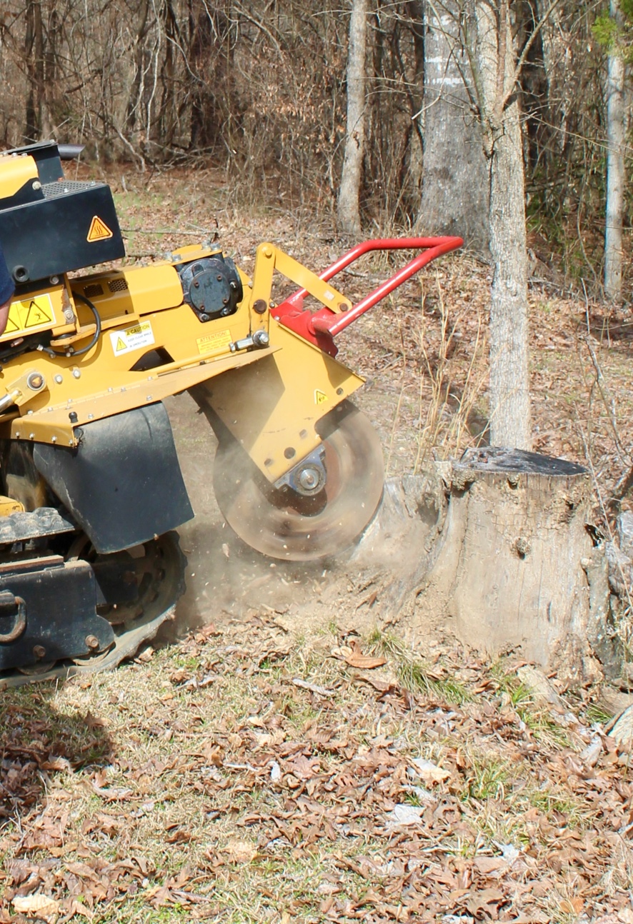 Close up grinding action